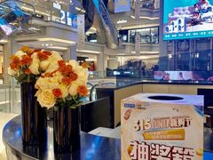 -红星美凯龙北京至尊MALL(东四环中路店)