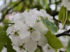 -廊坊市自然公园