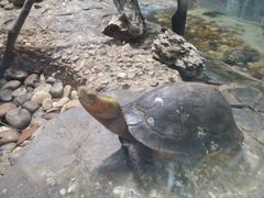 -上海昆虫博物馆