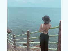 -广东惠东海龟国家级自然保护区