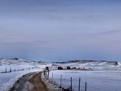 -塞罕坝国家级自然保护区