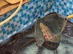 -九寨沟石锅鱼(沣峪口店)