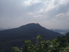 -九曜山
