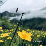 成都周边游[糖果]超级川西冷僻露营圣地[礼花]——鹧鸪山