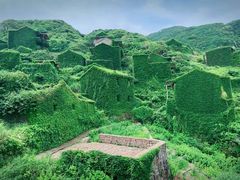 -枸杞岛