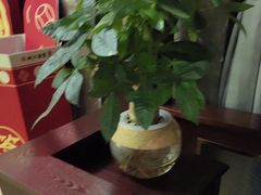 -古南都·老广东酒楼(龙江店)
