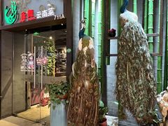 -雀舞云南菜(天津天河城购物中心店)