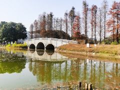 -华南国家植物园-售票处