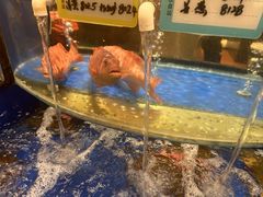 -海景壹号大酒店(惠钱路店)