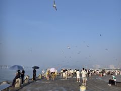 -星海广场
