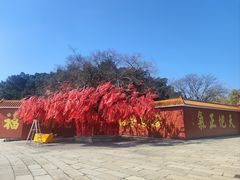 -广州莲花山旅游区