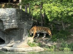 -宁波野生动物园