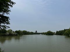 -苏州太湖国家湿地公园