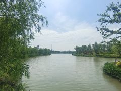 -九科绿洲