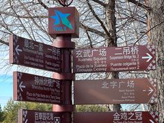 -北极村旅游风景区