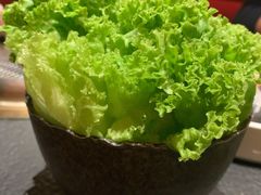 有机生菜-300杯·和牛烧肉清酒专门店(廊里店)