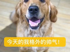 -Double Rui宠物酒店