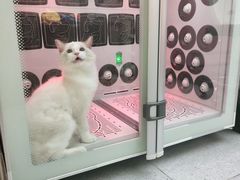 -FAELING PETS美天灵宠物(富力广场店)