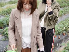 -阿林有机农庄