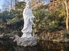 -紫金山山顶公园