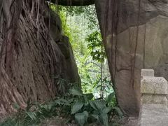 -乌山风景区