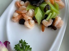 -云中小雅