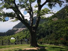-天姥山景区