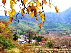 -塔川景区