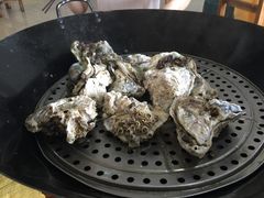 -蚝专家(北滘店)