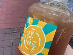 -一些柠檬一些茶(西村店)