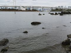 -台场海滨公园船码头