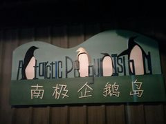 -大连圣亚海洋世界