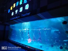 -泉城欧乐堡海洋极地世界