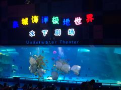 -泉城欧乐堡海洋极地世界