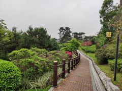 -四望岗公园
