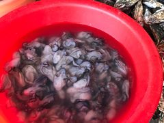 -霞涌市场海鲜摆卖区
