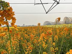 -中国天府农业博览园