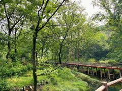 -木兰云雾山
