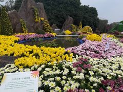 -南山植物园
