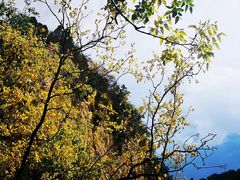 -藏山旅游风景区