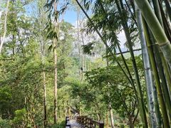 -水濂山森林公园