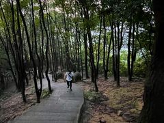 -火炉山森林公园