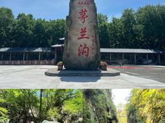 -茅兰沟国家森林公园