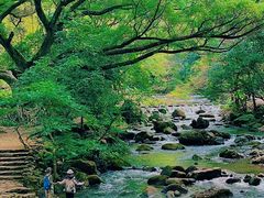 -广州市石门国家森林公园