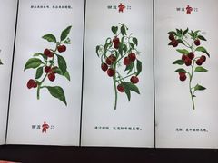 -田波泡椒牛蛙(江北外滩店)