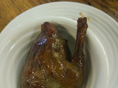 -百利鸽王(紫薇路店)