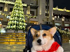 -比斯特上海购物村精品奥特莱斯