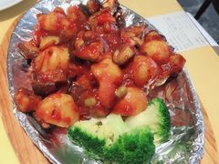 -素虎小呆鸟(西二旗店)