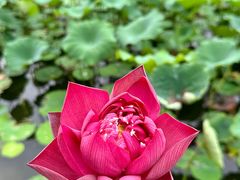 -蜀大侠·侠客印象(园林博物馆店)