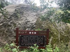 -长沙黑麋峰国家森林公园